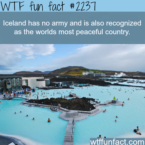 funny-fact5