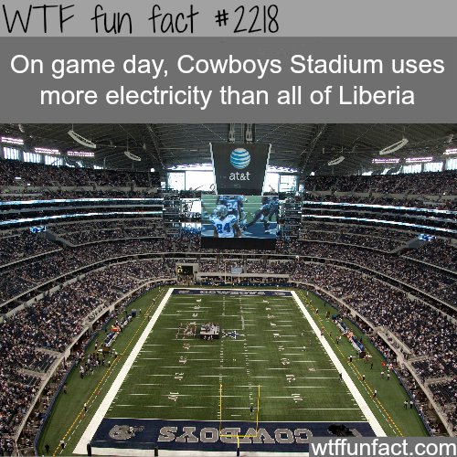 funny-fact9